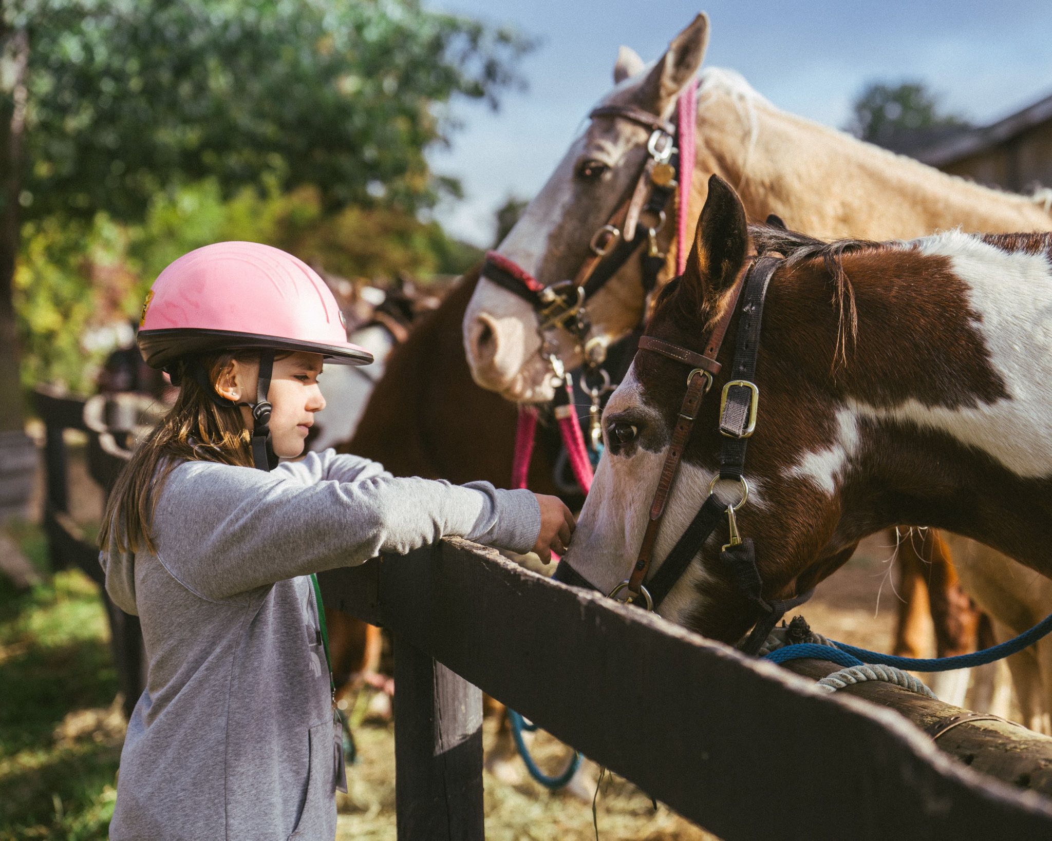 2025 Dude Ranch p4.jpeg